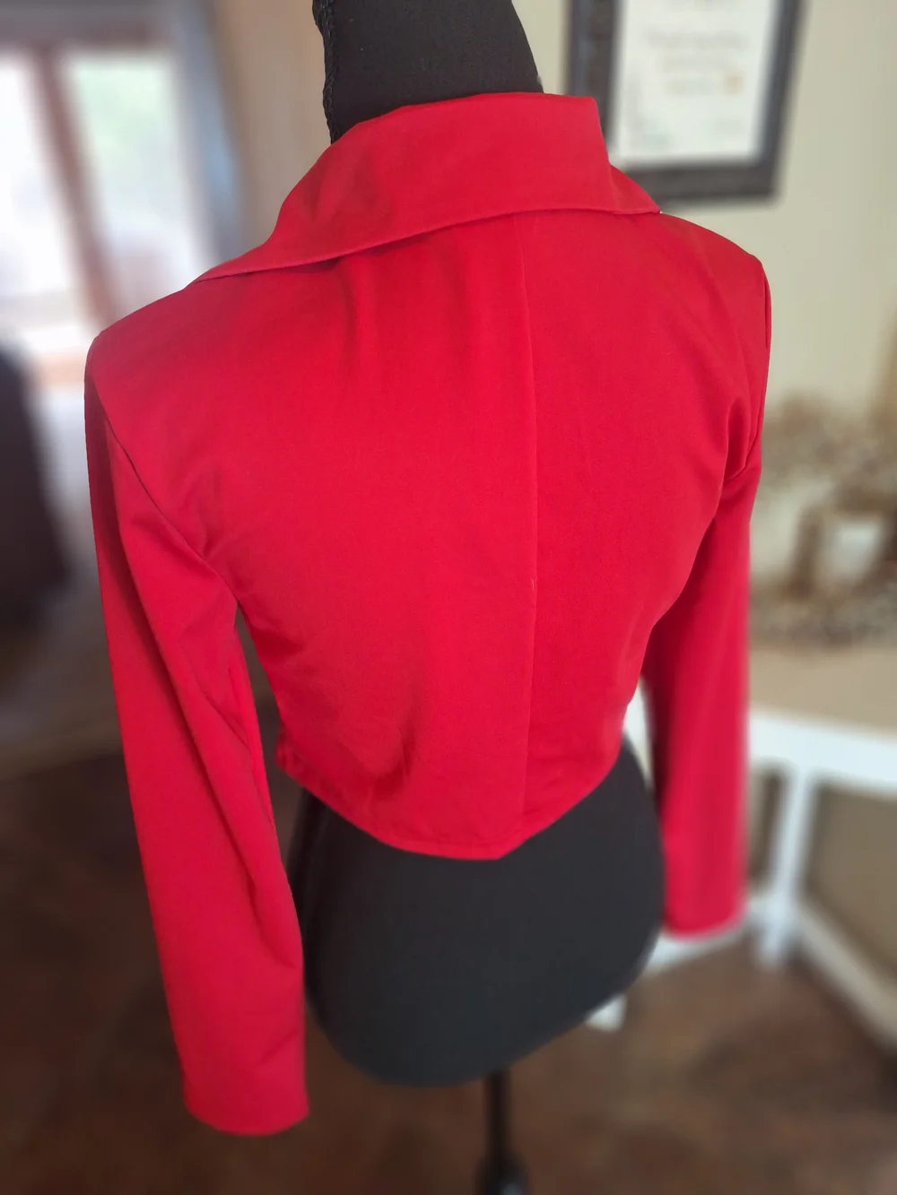 NWT Dolls Kill Red Cropped Double-Button Blazer S